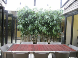 2.2m_bamboo_screen.jpg