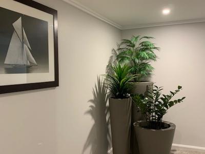 Artificial plants for Strata Foyers