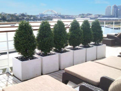 Artificial plants for Cruise Ships