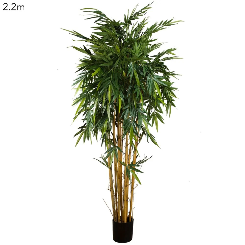 New Bamboo 2.2m|